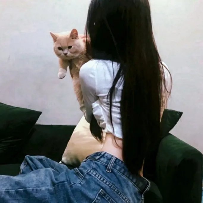 穿梭少女梦